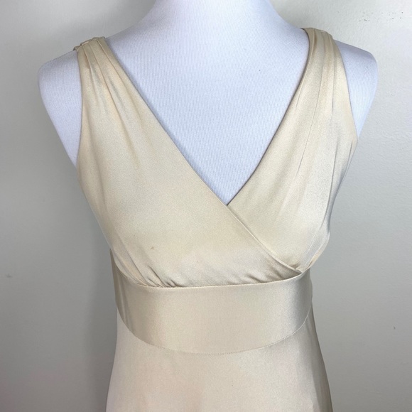J.Crew Champagne Silk Vneck Sophia dress 8P - Picture 10 of 15